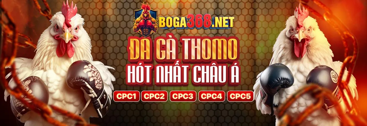 Đấu gà Campuchia truyền thống